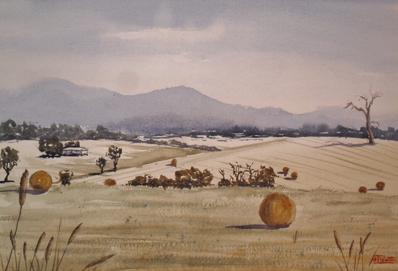 Hay Harvesting Time - Yarra Valley (copyright)