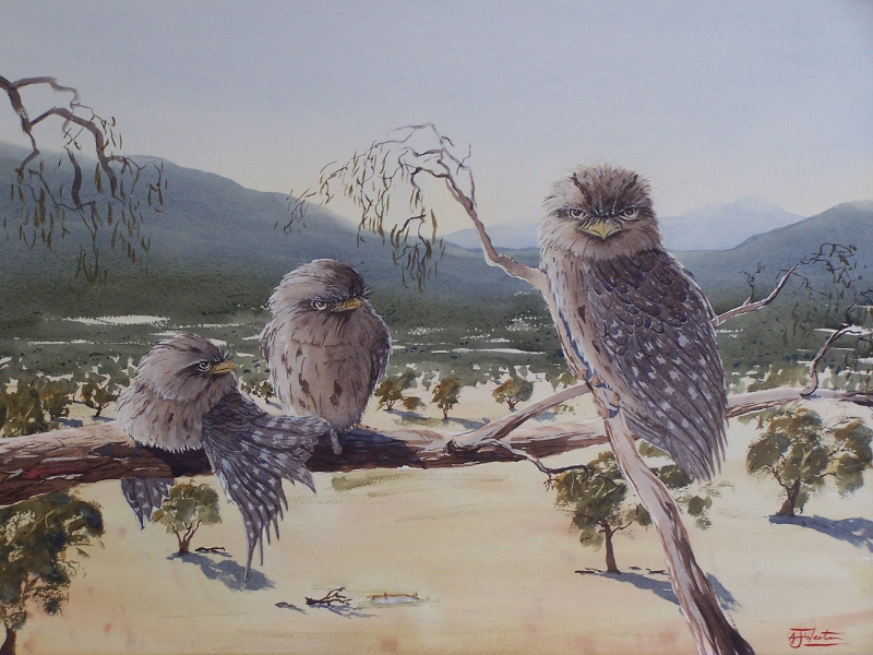 Yarra Valley Tawnies (copyright)